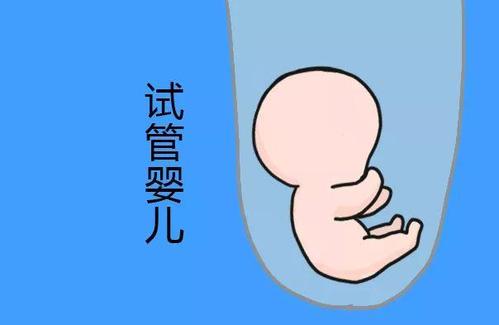 男性因素案例